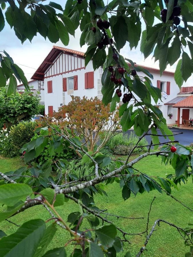 Maison Errientania Souraide Bagian luar foto