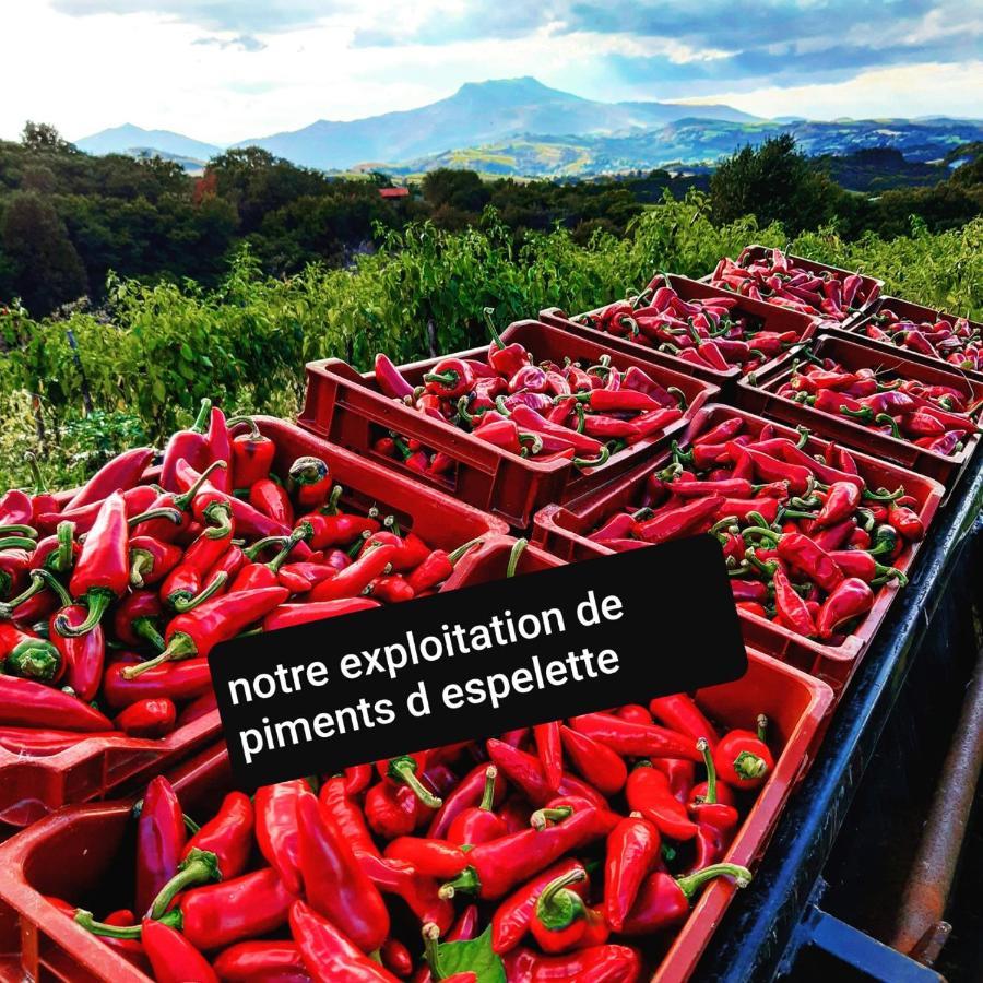 Maison Errientania Souraide Bagian luar foto